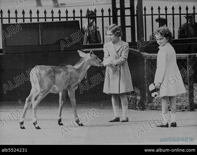 Princess Visit The London Zoo - Princess Margaret feeding a deer ...