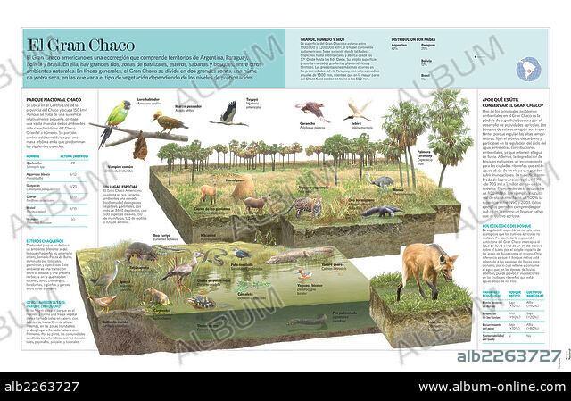 Great Chaco Gran Chaco Album alb2263727