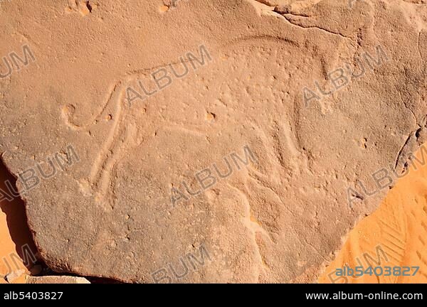 Lion engraving, neolithic rock art of the Tadrart, Tassili n'Ajjer National Park, Unesco World Heritage Site, Algeria, Sahara, North Africa, Africa.