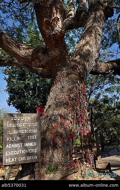 Killing Tree with bracelets in memory of killed children, Killing Fields of the Khmer Rouge, Choeung Ek, Phnom Penh, Cambodia, Asia.