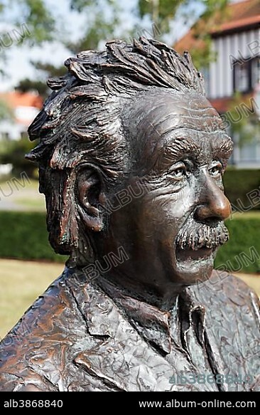 Albert Einstein Bronze Bust Bronze Sculpture By Felix Velez