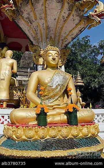 Buddha statue standing in front of a Naga statue, Wat Sisaket temple, Vientiane, Laos, Indochina, Asia.