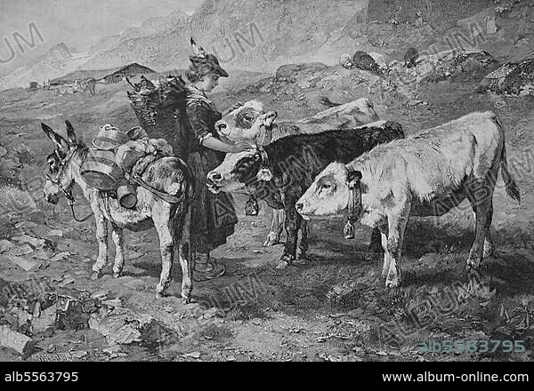 Händlerin bei ihrer Tour mit dem Esel im Gebirge, ist auf drei Kühe getroffen und streichelt diese, Österreich, 1878, Historisch, digitale Reproduktion einer Originalvorlage aus dem 19. Jahrhundert, Originaldatum nicht bekannt.