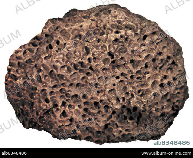 Rock with holes in it. Rock of vesicular andesite riddled with gas pockets  and v , #Aff, #gas, #riddled, #vesicles, #pockets, #holes #ad