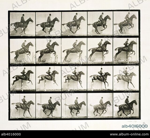 Man and horse jumping a fence, 1887 Artist: Eadweard J Muybridge