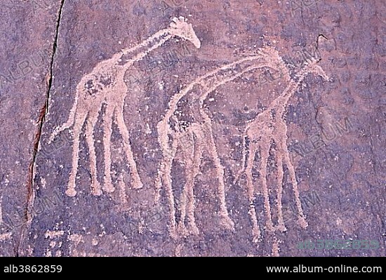 Neolithic rock art, Bubaline or Bubalus period, rock engraving of giraffes, Tadrart, Tassili n'Ajjer National Park, Unesco World Heritage Site, Sahara desert, Algeria, Africa.