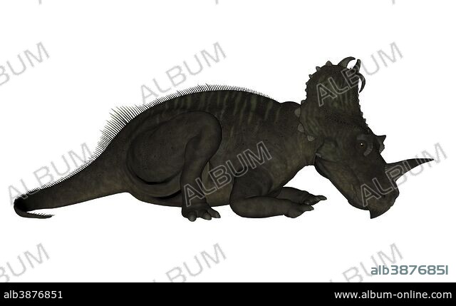 Centrosaurus dinosaur resting, white background. - Album alb3876851