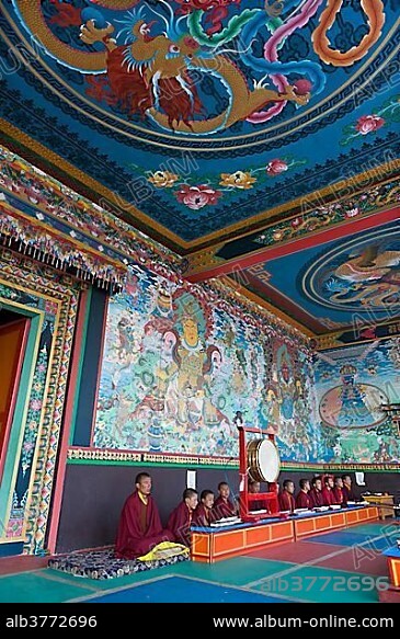 Monks at prayer, Tawang Khinmey Nyingma monastery, near Tawang, Arunachal Pradesh, India, Asia.