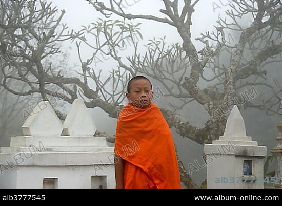 Buddhism and ancestor worship, young novice with orange robe, eery branches in fog over graves, Wat Kaew, Phongsali province, Laos, Southeast Asia, Asia.