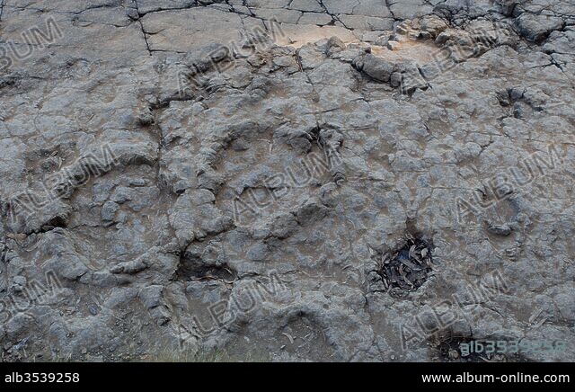 Footprints Of Sauropod Dinosaur, In The Jurassic Site Of The Beach Of ...