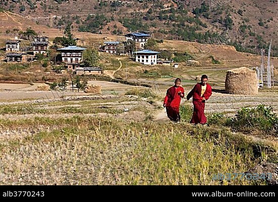 Buddhist monks walking through rice terraces, Chimi Lhakhang, Bhutan, Kingdom of Bhutan, South Asia, Asia.