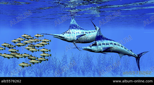 The Billfish Story: Swordfish, Sailfish, Marlin, and Other Gladiators of  the Sea (Wormsloe Foundation Nature Books)
