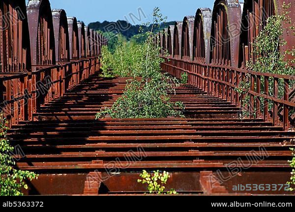 Destroyed railway bridge over the Elbe ruin Elbe floodplain