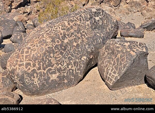 Historic Native American engravings from various cultural eras, petroglyphs, animal depictions, Painted Rock Petroglyph Site, Painted Rocks State Park, Gila Bend, Maricopa County, Arizona, USA, North America.