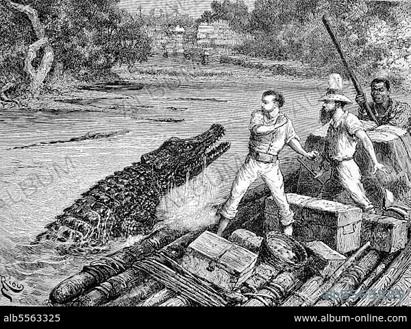 Reisende zum Amazonas werden von einem Krokodil angegriffen, Historisch, digital restaurierte Reproduktion einer Originalvorlage aus dem 19. Jahrhundert.