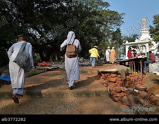 Vietnamese Buddhist nuns during the ascent to Vulture Peak, Buddhist pilgrimage site, Ragir, Rajgir, Rajagrihain, Sanskrit, Rajagaha, Pali, Bihar, India, Asia.