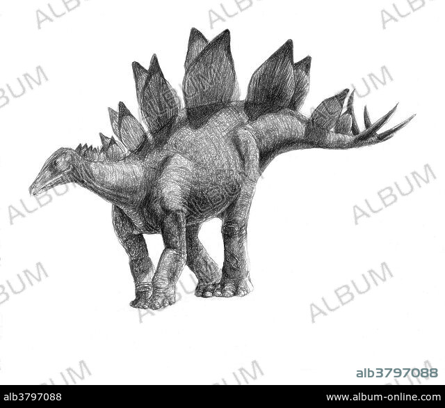 Stegosaurus - Album alb3797088