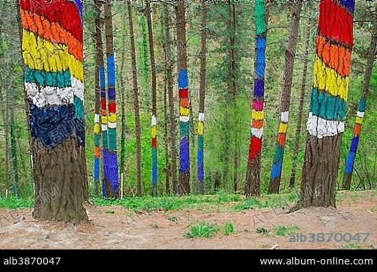 Painted tree trunks painted wood El Bosque animado de Oma