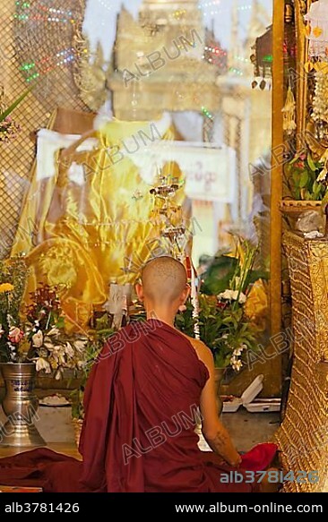 Young Buddhist monk with a tattoo on the back of his head, praying in the temple, from behind, Yangon, Myanmar, Asia.