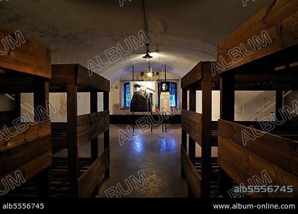 Bunk beds in the barrack room at Fort Breendonk, Belgium, Europe