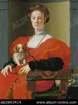 BRONZINO AGNOLO DI COSIMO Stock Photos Illustrations and