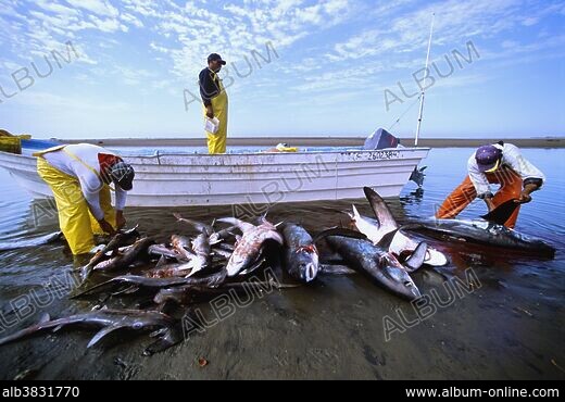 Fishing port for gill net fishermen. Huatabampo, Mexico, Sea of Cortez,  Pacific Ocean Stock Photo - Alamy