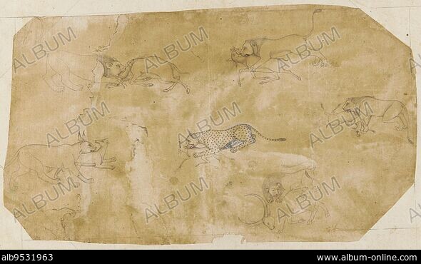 A design from a Victorian era can label for Salmon from the