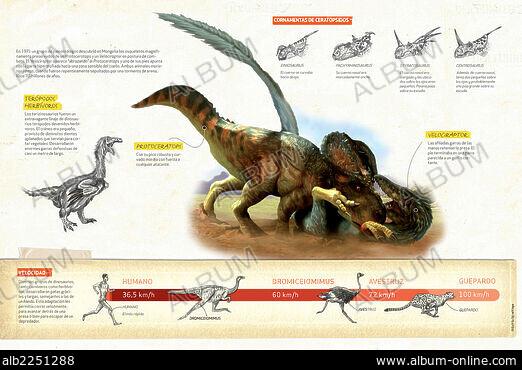 A female Saurolophus attempts to crush a Tarchia armored dinosaur