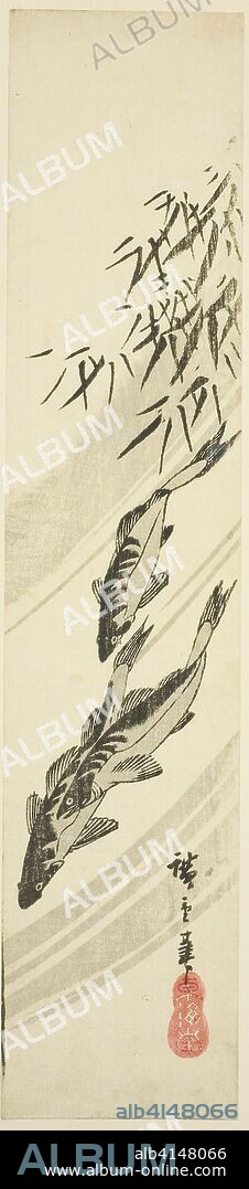 Fish in a stream. Utagawa Hiroshige ?? ??; Japanese, 1797-1858. Date: 1835-1845. Dimensions: 34 x 7.2 cm (13 3/8 x 2 7/8 in.). Color woodblock print; kotanzaku. Origin: Japan.