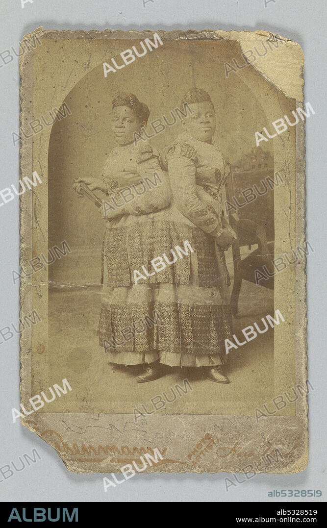 1890s Undergarments | Photographic Print