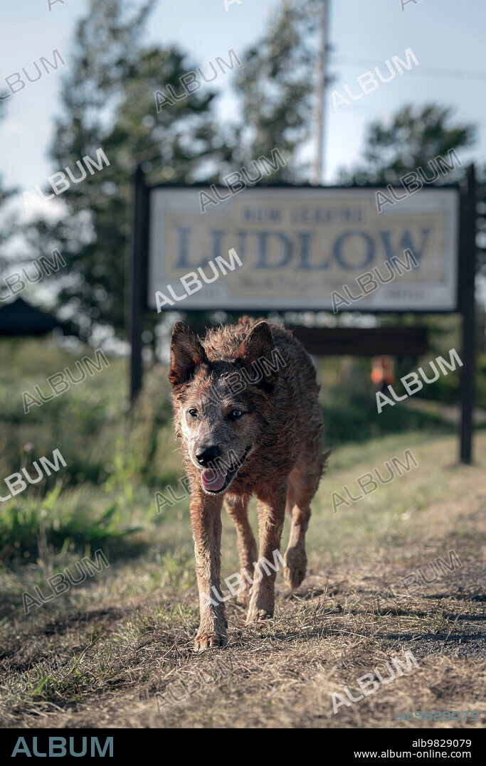 PET SEMATARY: BLOODLINES, 2023, directed by LINDSEY BEER. Copyright PARAMOUNT PICTURES.