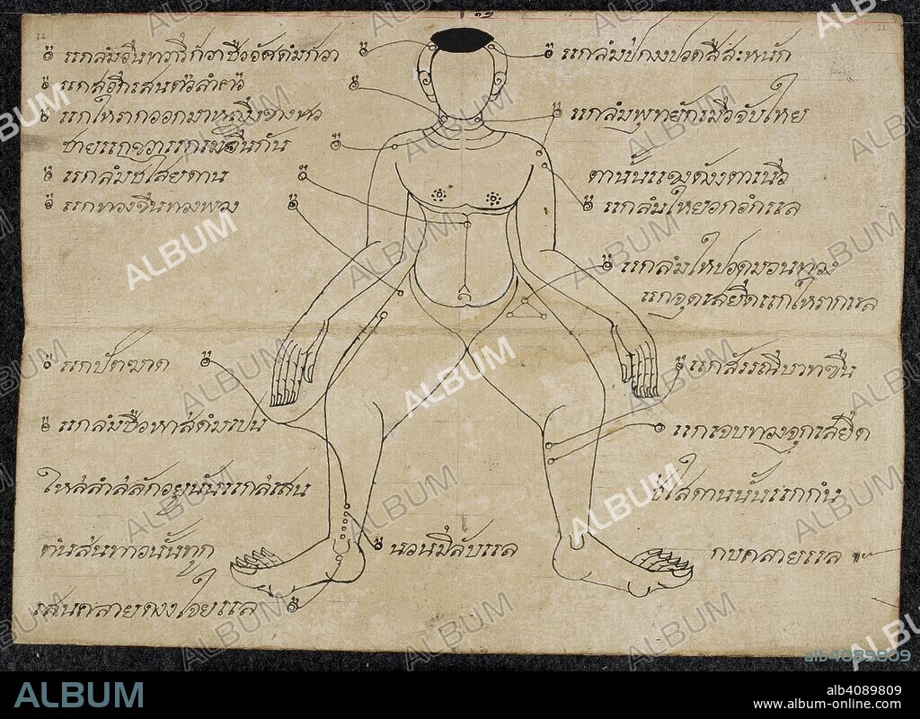 Thai medical diagram showing the pressure points on a Human body. Massage treatise. Thailand, 1800 - 1850. Paper folding book (samut khoi). Dimensions: 355 mm x 127 mm. Script: 4 lines per side, 31 cm long. Thai script. Source: Or. 13922 f.22. Language: Thai.