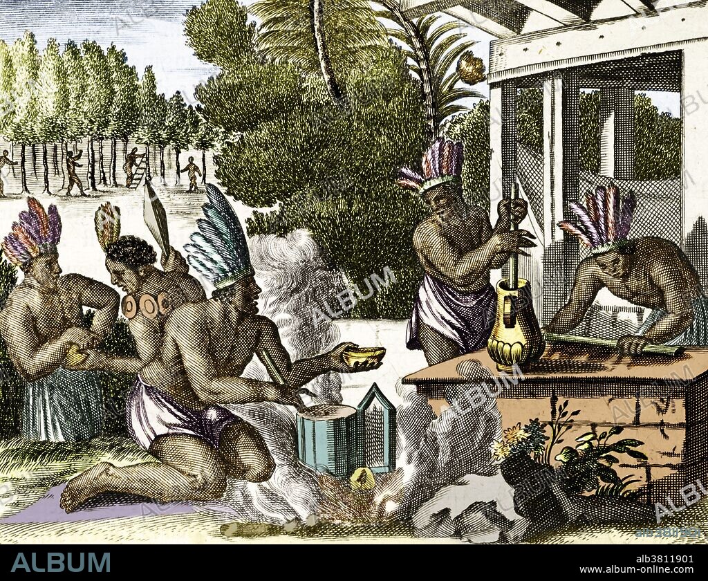 Indigenous people in the Spanish colonies making chocolate mixed with maize, 1671. John Ogilby (1600-1676). Until Columbus brought cacao beans back to Spain in the early 1500s, Europe was unfamiliar with the popular cocoa drink from the Central and South America. After the Spanish conquest of the Aztecs, chocolate began to be imported into Europe and quickly became a court favorite. Cacao plantations in the colonies spread, run on slave labor, while drinking cocoa was considered variously exotic, fashionable, medicinal, and dangerous. Chocolate production developed over the centuries, until modern-style chocolate bars were created in the mid 1800s. Chocolate is made from the dried and partially fermented seeds of the cacao tree (Theobroma cacao), a small evergreen native to the tropical Americas.