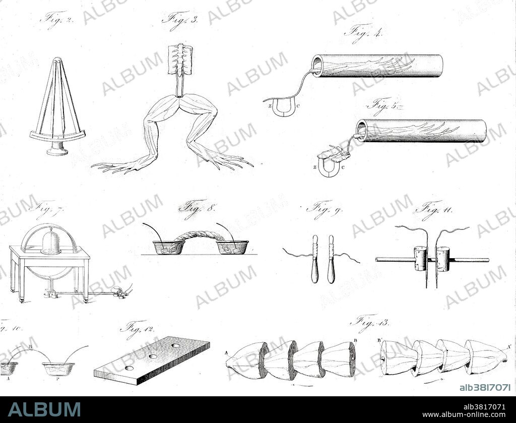 Frog preparation according to Galvani. Figs. 4 and 5 show rheoscopic frog. Figs. 12 and 13 show a battery of muscles. Luigi Galvani (1737-1798), an Italian physician and physicist, began his re-searches into electrophysiology in the late 1770s. He noticed that the muscles of a frog twitched and contracted when two different metals, shaped into arcs, were placed on the frog's spinal cord and leg. He used similar arcs in his famous frog experiments of 1786 where he claimed that the contraction of the muscle was due to "animal electricity." Later disproved, this idea stated that the electrical current was produced by living tissues in the body.
