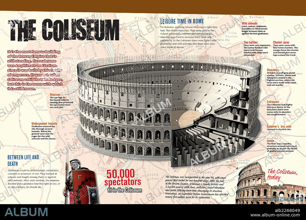 The Coliseum. Infographic of the Roman Coliseum.