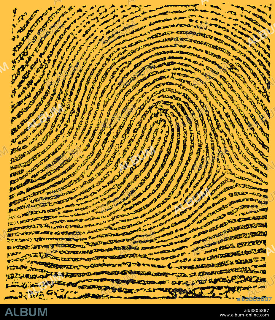 Fingerprint image taken from Edward Richard Henry's Classification and Uses of Fingerprints. The Henry Classification System divides fingerprint records into groupings based on pattern types. The system makes it possible to search large numbers of fingerprint records by classifying the prints according to whether they have an arch, whorl, or loop. In the typical loop pattern the ridges enter from one side of a finger, form a curve, and then exit on that same side. The Henry Classification System is a long-standing method by which fingerprints are sorted by physiological characteristics for one-to-many searching. Developed by Sir Edward Henry in the late 19th century for criminal investigations in British India, it was the basis of modern day AFIS classification methods up until the 1990s. In recent years, the Henry Classification System has generally been replaced by ridge flow classification approaches.