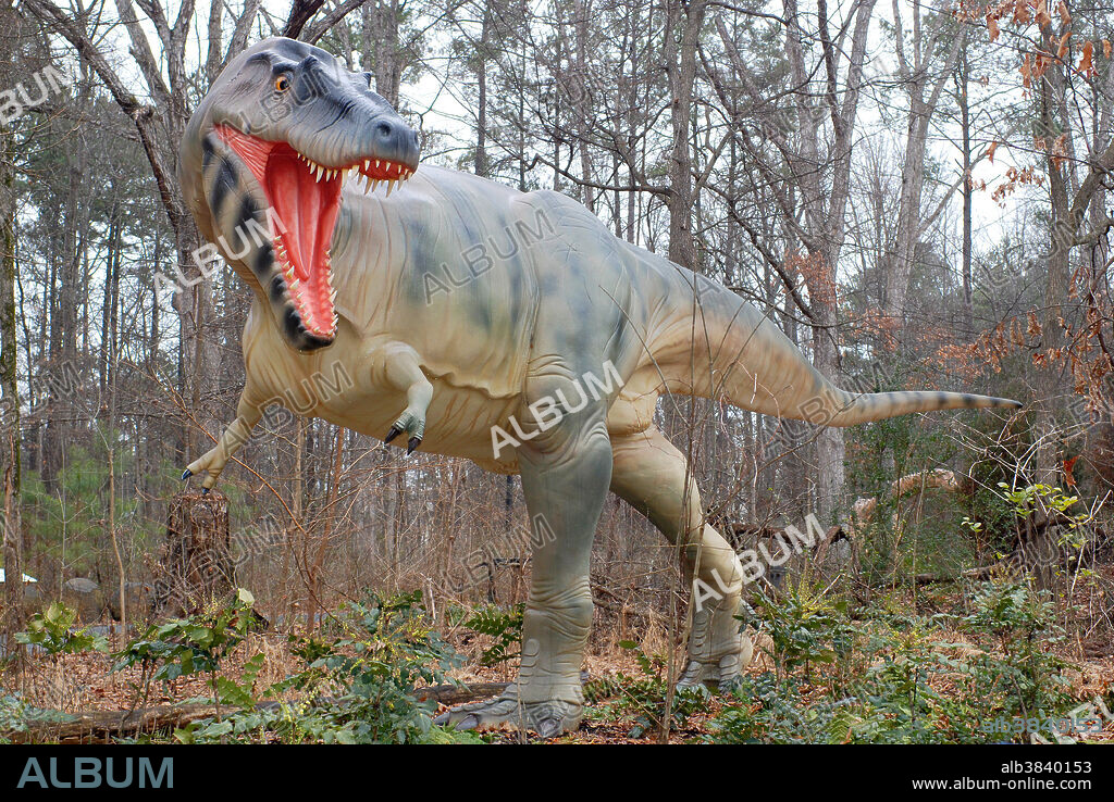 Albertosaurus, a large, meat-eating dinosaur. Durham Museum of Life and Science, NC.