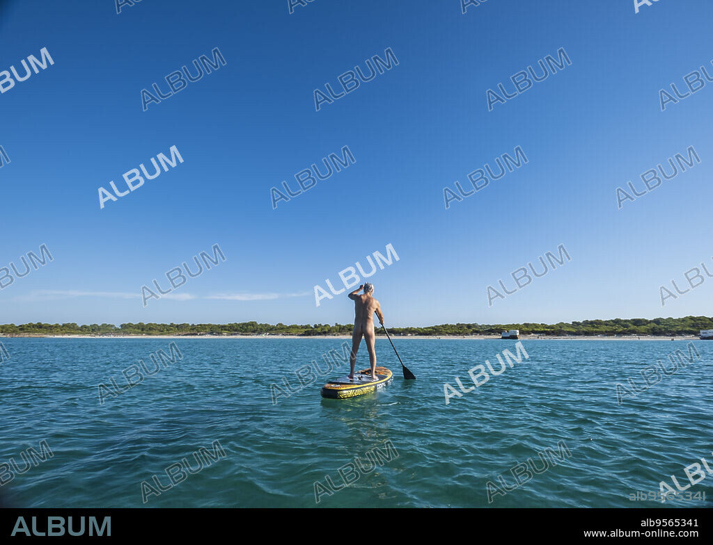 Naked older man practicing Paddle surfing, Ses Covetes beach, Majorca,  Balearic Islands, Spain. - Album alb9565341