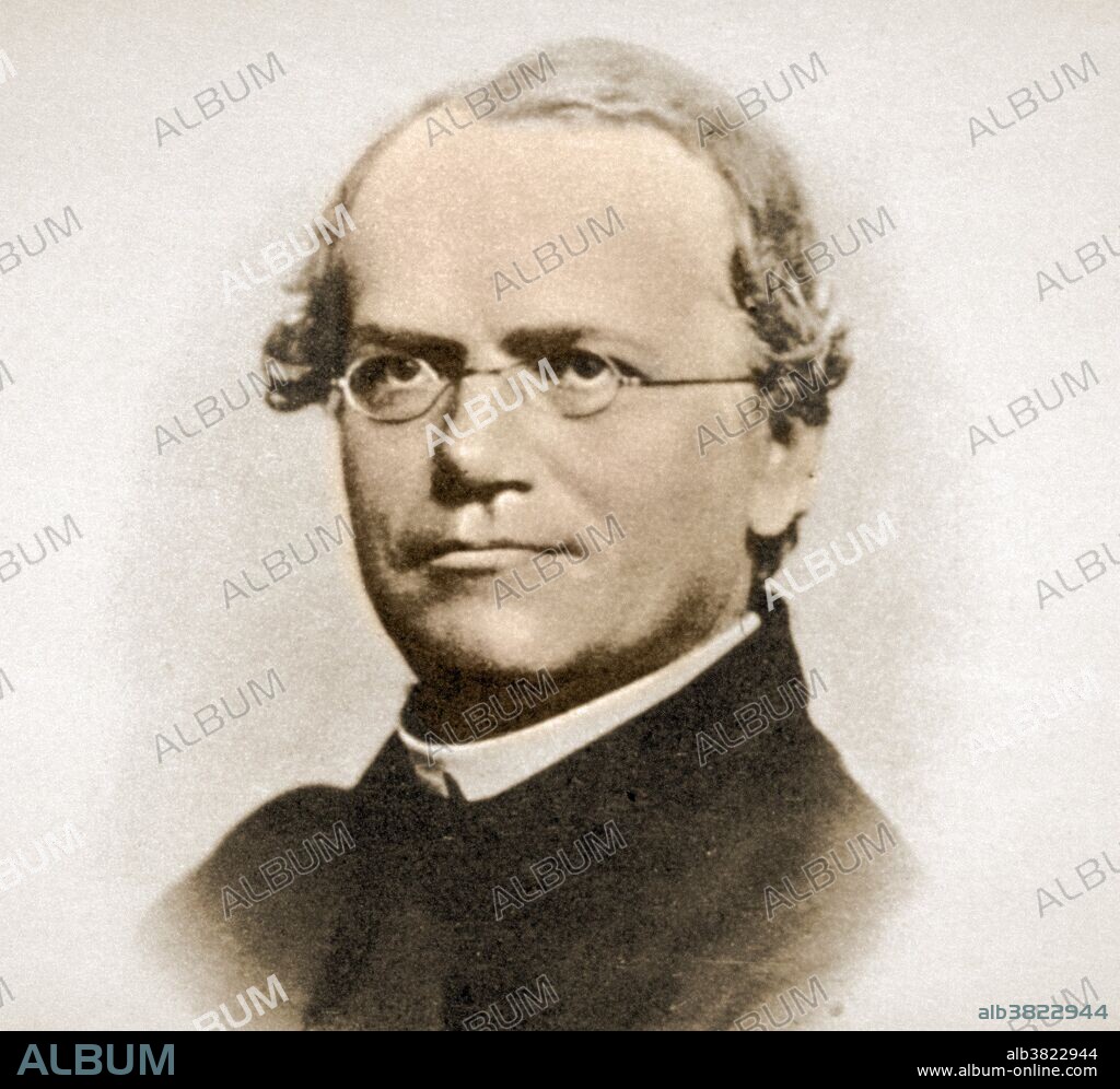 Gregor Johann Mendel (July 20, 1822 - January 6, 1884) was an Austrian scientist and Augustinian friar who gained posthumous fame as the founder of the new science of genetics. Mendel conducted experiments in a monastery in the 1860's with garden peas, working out the law of heredity based on "factors" (genes) that decide which characteristics are passed from parent to offspring. His documented work was entitled: "Experiments with Plant Hybrids". Mendel had demonstrated that the inheritance of certain traits in pea plants follows particular patterns, now referred to as the laws of Mendelian inheritance. Although the significance of Mendel's work was not recognized until the turn of the 20th century, the independent rediscovery of these laws formed the foundation of the modern science of genetics. After he was elevated as abbot in 1868, his scientific work largely ended. Mendel died in 1884, at age 61, from chronic nephritis.