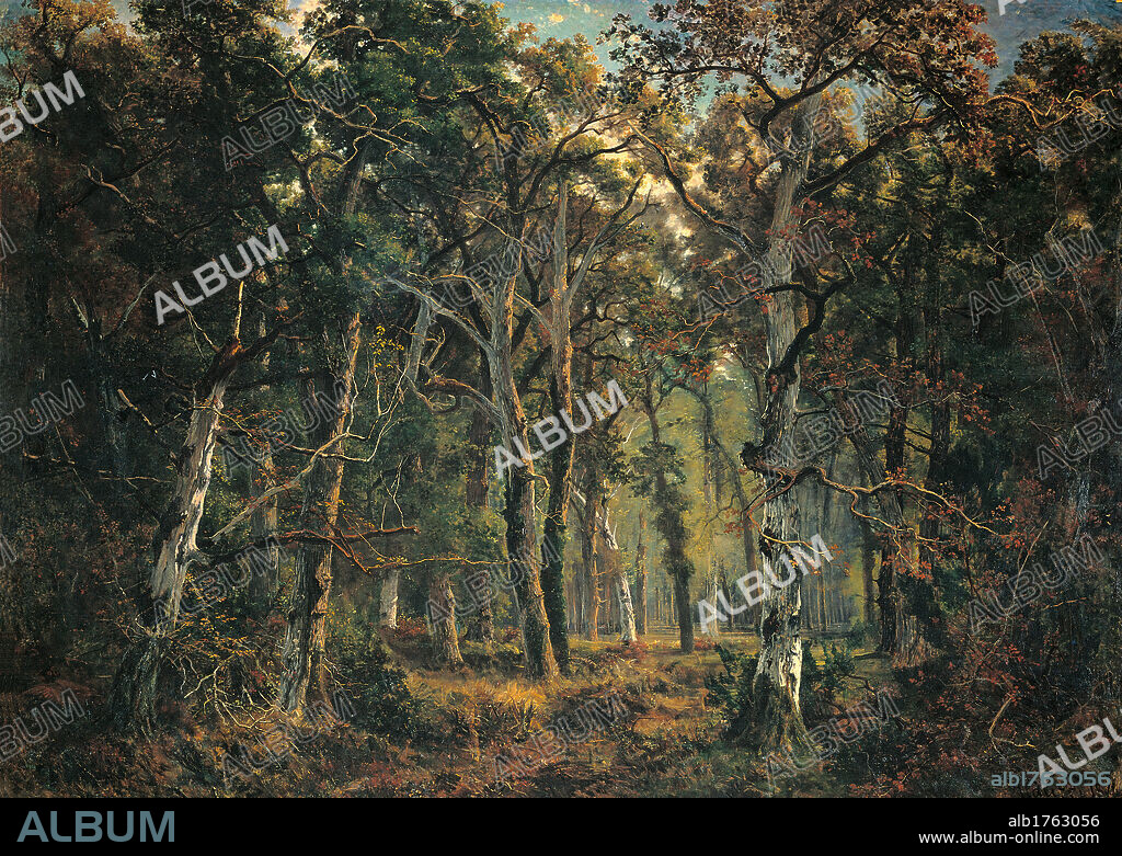 The Forest of Fontainebleau, by Giuseppe Palizzi, 1874, 19th Century, oil on canvas, cm 232 x 321. Italy, Lazio, Rome, National Gallery of Modern Art. All. Forest trees wood leafy branches branches shade tree trunks darkness green shades tones hues of brown. Authorization required for non editorial use.