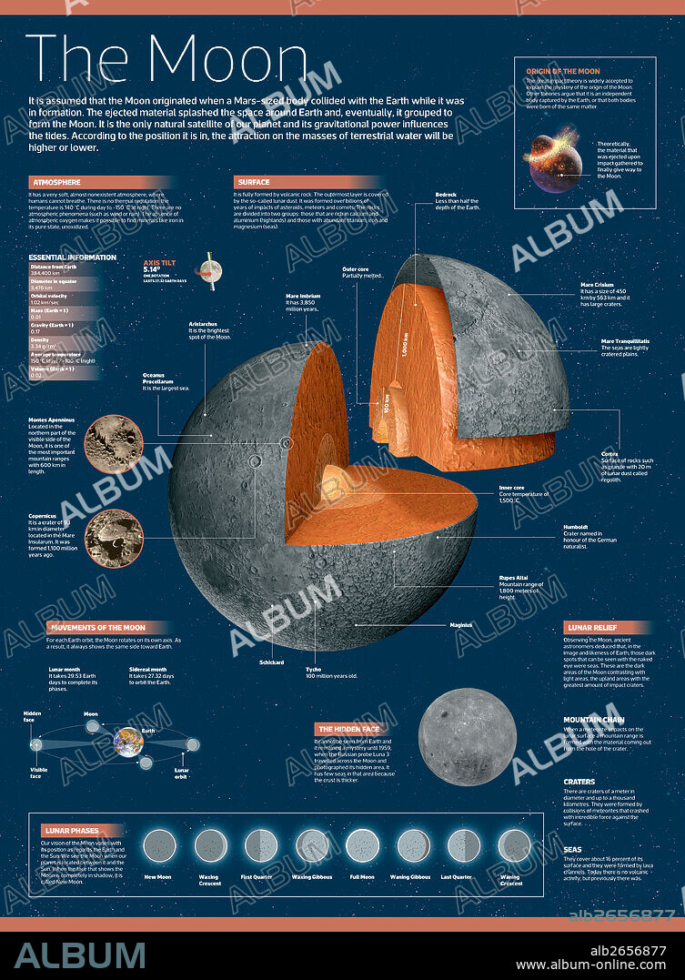 MOON. Infographic on the Moon: its atmosphere, composition, lunar movements, lunar phases and more.