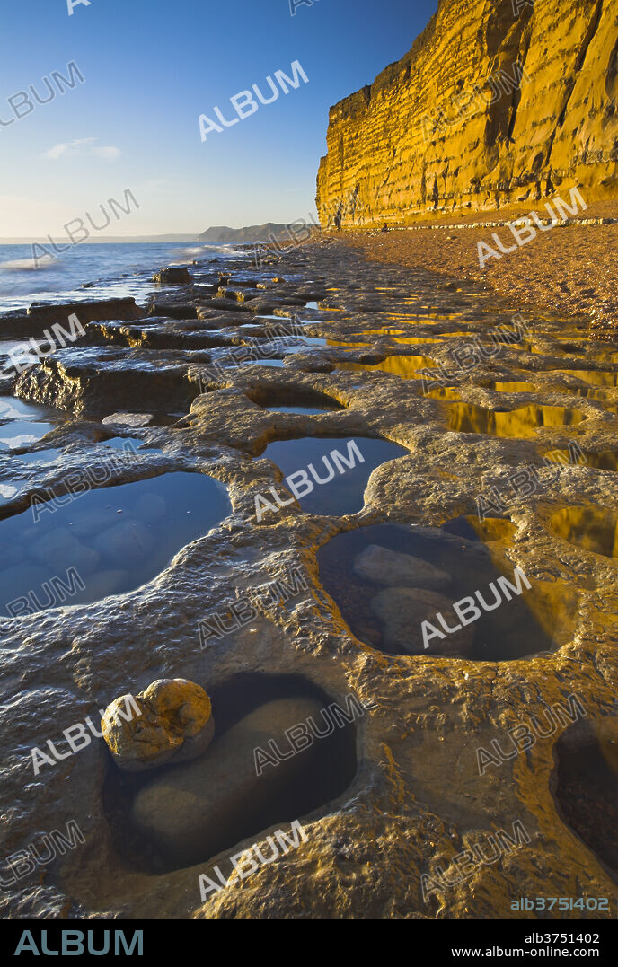 The golden coloured cliffs and ledges of Burton Bradstock