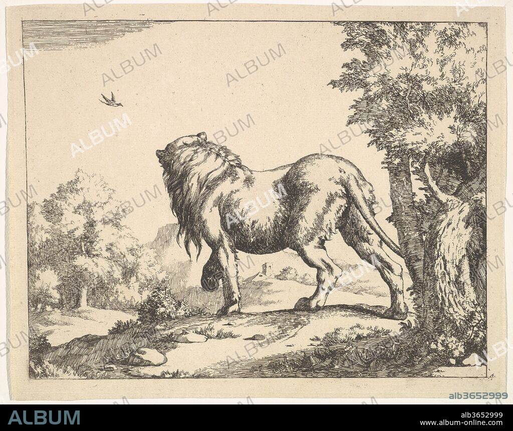 AFTER PAULUS POTTER. The Lions (one of eight plates) - Album alb3652999