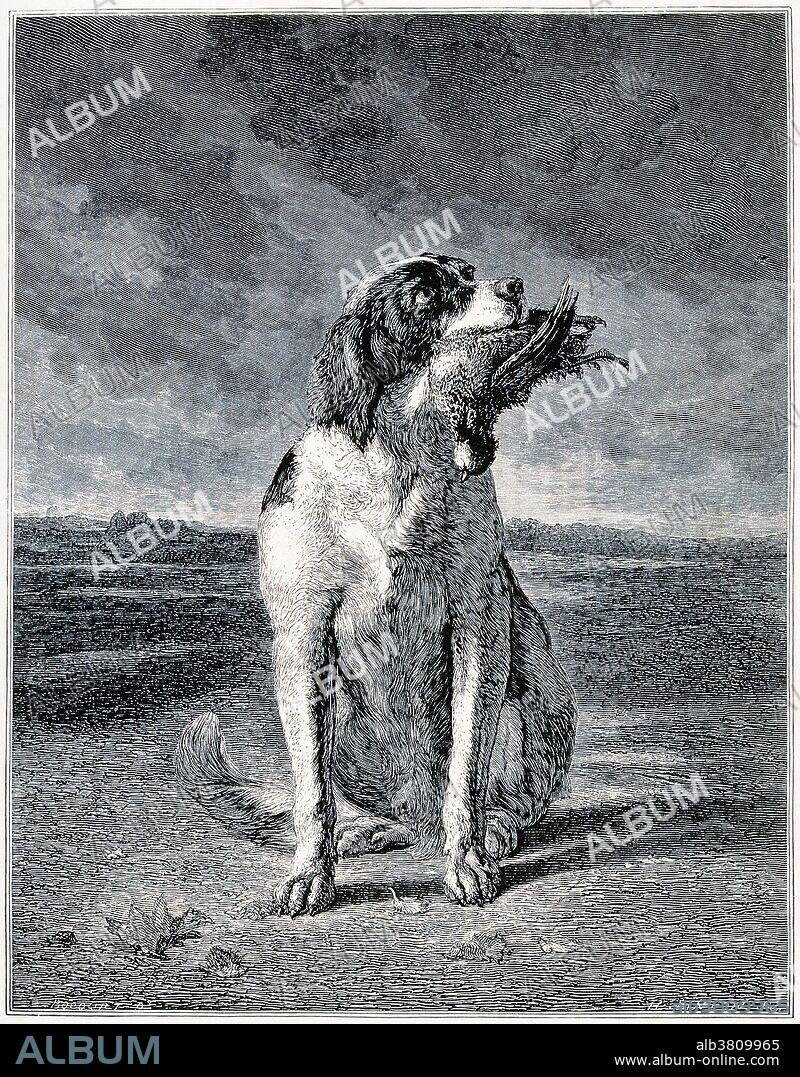 A hunting dog sitting with a game bird in its mouth. Wood engraving from the 19th century by Henry Duff Linton after Bocquet.