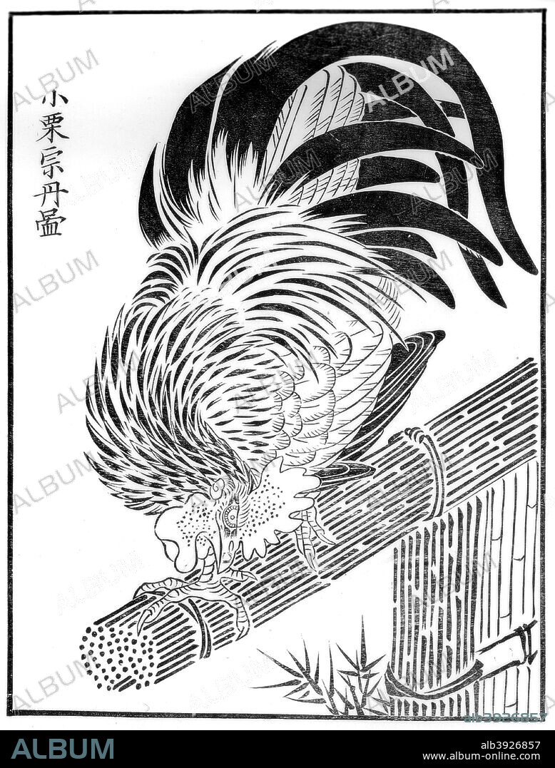 Cock, 15th century (1886). From a painting by Oguri Sotan, engraved in the E-hon te-kagami. Chinese School. A print from The Pictorial Arts of Japan, by William Anderson, Sampson Low, Marston, Searle, & Rivington, London, 1886.