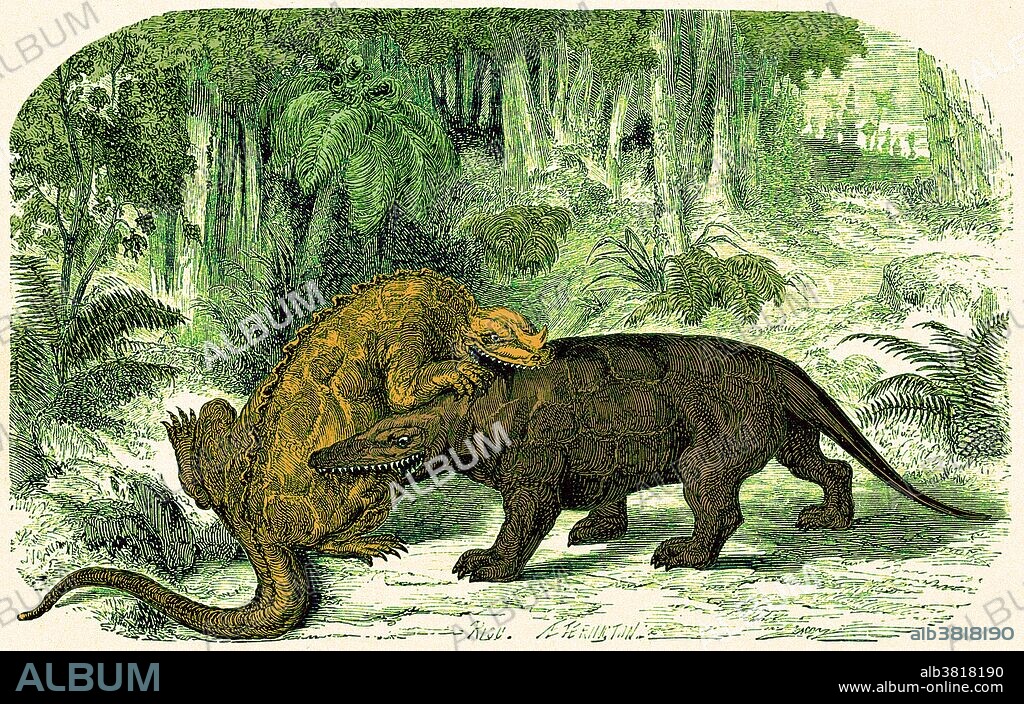 An iguanodon biting a megalosaurus, Early Cretaceous period. 19th century wood engraving by A.E. Ferington after Ã‰douard Riou. Circa 1870s.