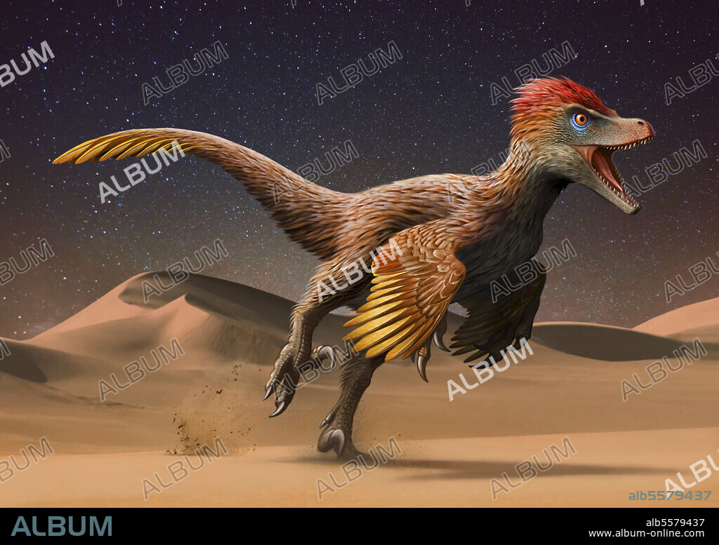 Velociraptor mongoliensis running across the Mongolian Desert.