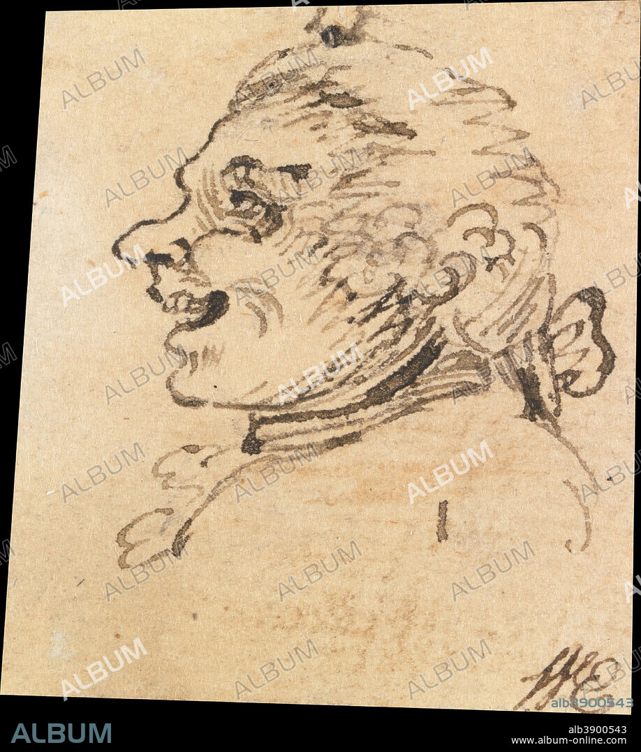 WILLIAM HOGARTH. Grotesque Male Head. Drawing. Black and brown ink on ...