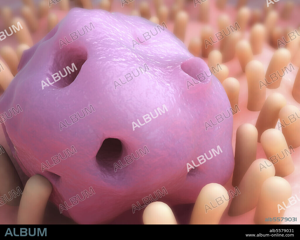 Conceptual biomedical illustration of Entamoeba inside the intestine.