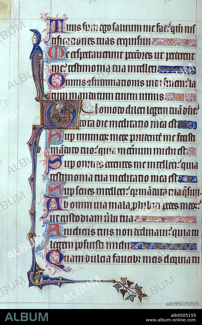 Psalter, Hybrid figure marginal decoration, This English Psalter was made for an East Anglian patron at the beginning of the fourteenth century. The original Psalter contains a calendar for adapted Sarum use, the Psalms, Canticles, Litany, and Office of the Dead, with additional prayers in a humanist hand added by a fifteenth century owner. The text is incomplete; about two-dozen leaves have been removed, resulting in missing historiated initials, and several partial Psalms and Canticles. Three extant historiated initials, accompanied by incipits in gold, stand out among a multitude of smaller painted and flourished initials. The majority of the text is written in accomplished textualis prescissa. This Psalter has stylistic and textual connections to the Gorleston Psalter and the Ormesby Psalter, placing it firmly within the tradition of East Anglian manuscript production in the first half of the fourteenth century.